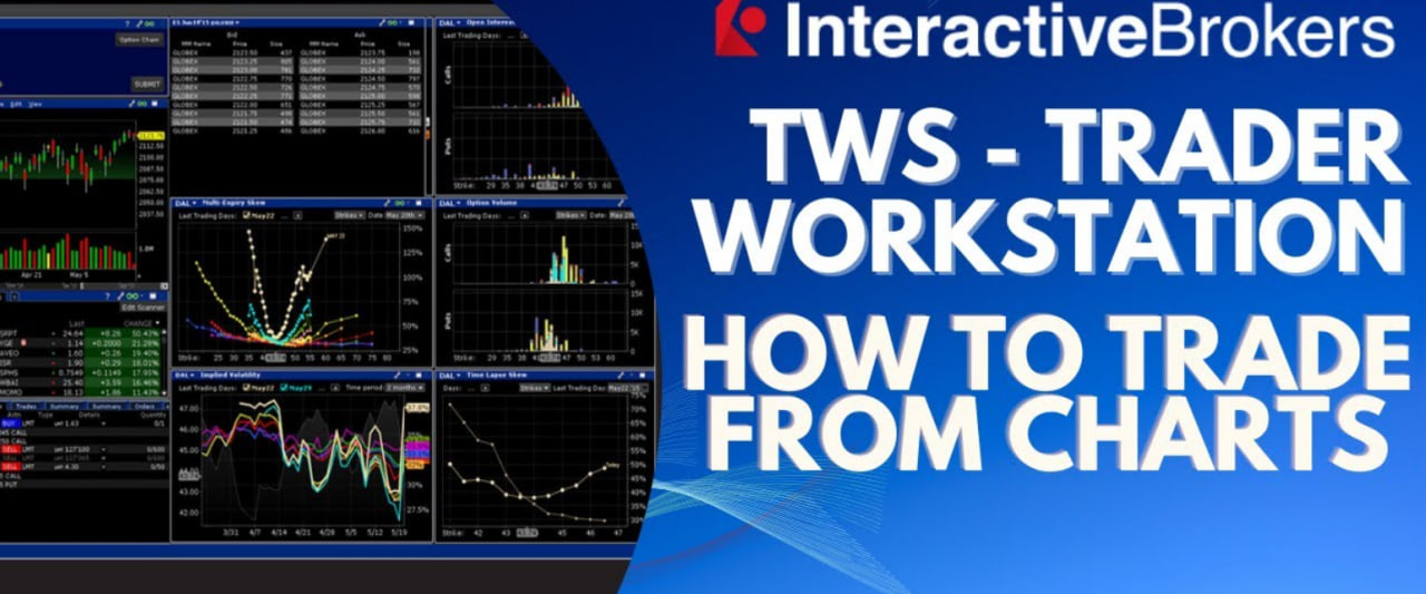 photo 2025 02 11 17 15 07