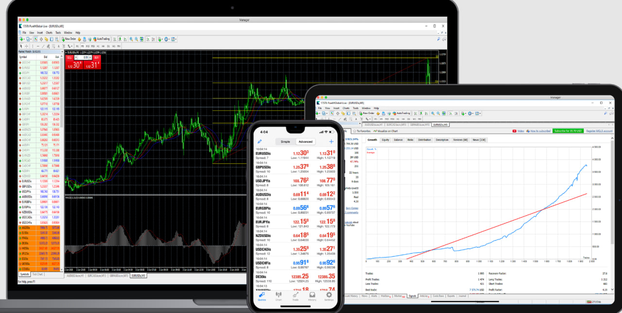 photo 2025 02 11 18 05 18