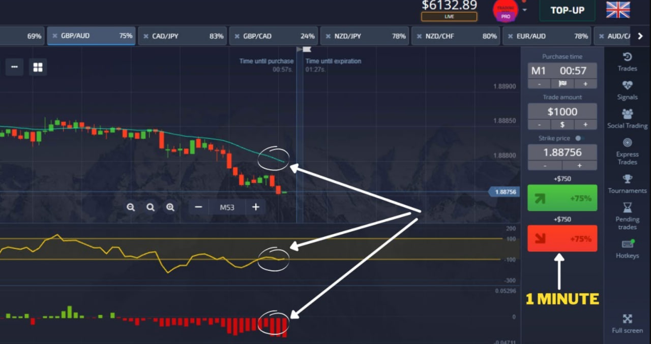 photo 2025 02 07 23 19 36